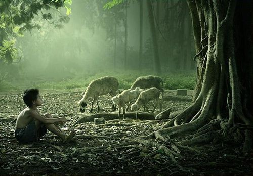 太阳成集团tyc7111cc